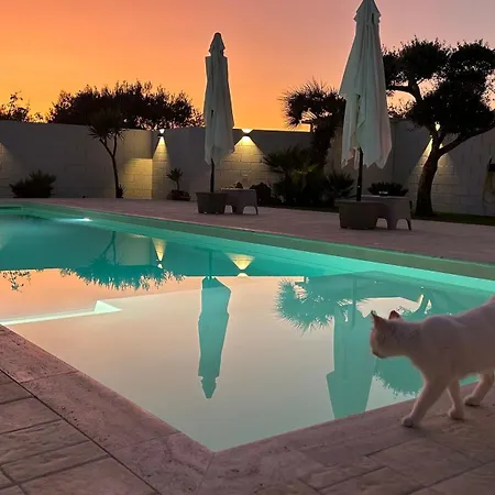 Lumia * 끼아라몬떼굴피