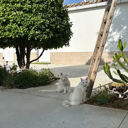 Lumia 度假居 嘉拉蒙提·古非