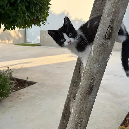Σπίτι διακοπών Lumia